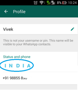 how-to-display-whatsapp-status-in-colored-text-blue
