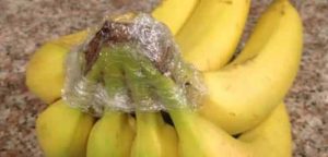 Wrap bananas with Plastic wrap