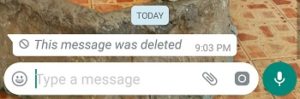 How to Check Deleted Whatsapp Message
