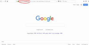 How to get More Than 10 Search Results on Google Page