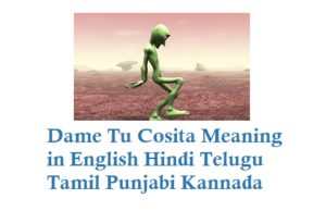 Dame tu cosita Meaning in Hindi English Telugu Tamil Punjabi Kannada