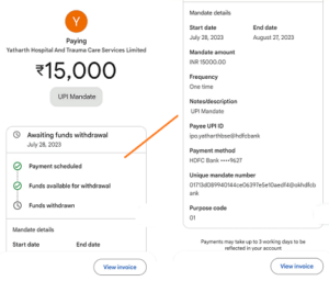 Google pay auto pay Mandate Details