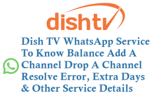 Dish TV WhatsApp Service 9953060680 To Know Balance Add A Channel Drop A Channel Details