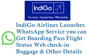 IndiGo WhatsApp Number 7428081281 for boarding pass Flight status Web checkin Details