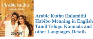 Arabic Kuthu Halamithi Habibo Meaning in English Tamil Telugu Hindi Kannada Languages