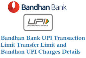 Bandhan Bank UPI Transaction Limit Transfer Limit Bandhan UPI Charges Details