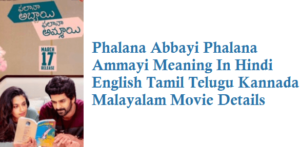 Phalana Abbayi Phalana Ammayi Meaning In Hindi English Tamil Telugu Kannada Malayalam Movie Details